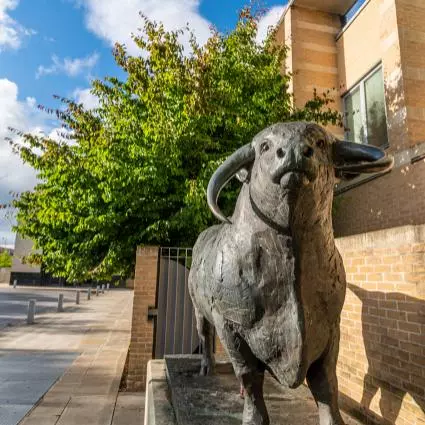 THE OXFORD OX, BRONZE SCULPTURE BY OLIVIA MUSGRAVE