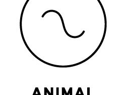 Animal Dynamics Logo